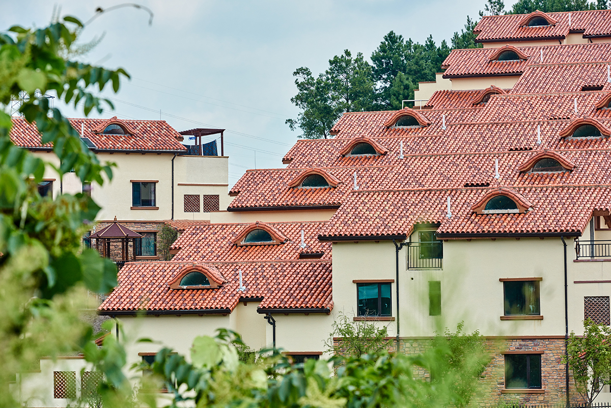 尊龙凯时摘要2023第29期